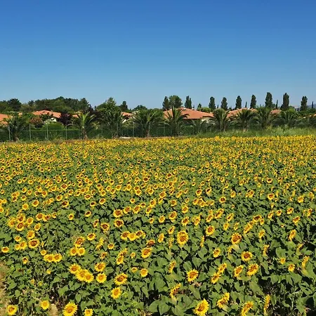 Kamp alanı Villaggio Mare